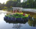 drijvende-tuin-05